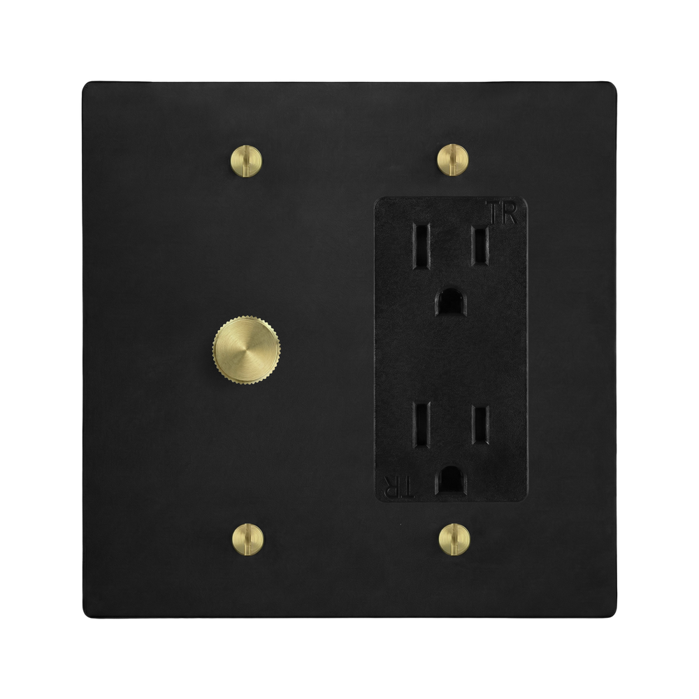 Matte Black (Satin Brass Accents) 2-Gang Dimmer & Duplex Outlet Switch Plate in Black