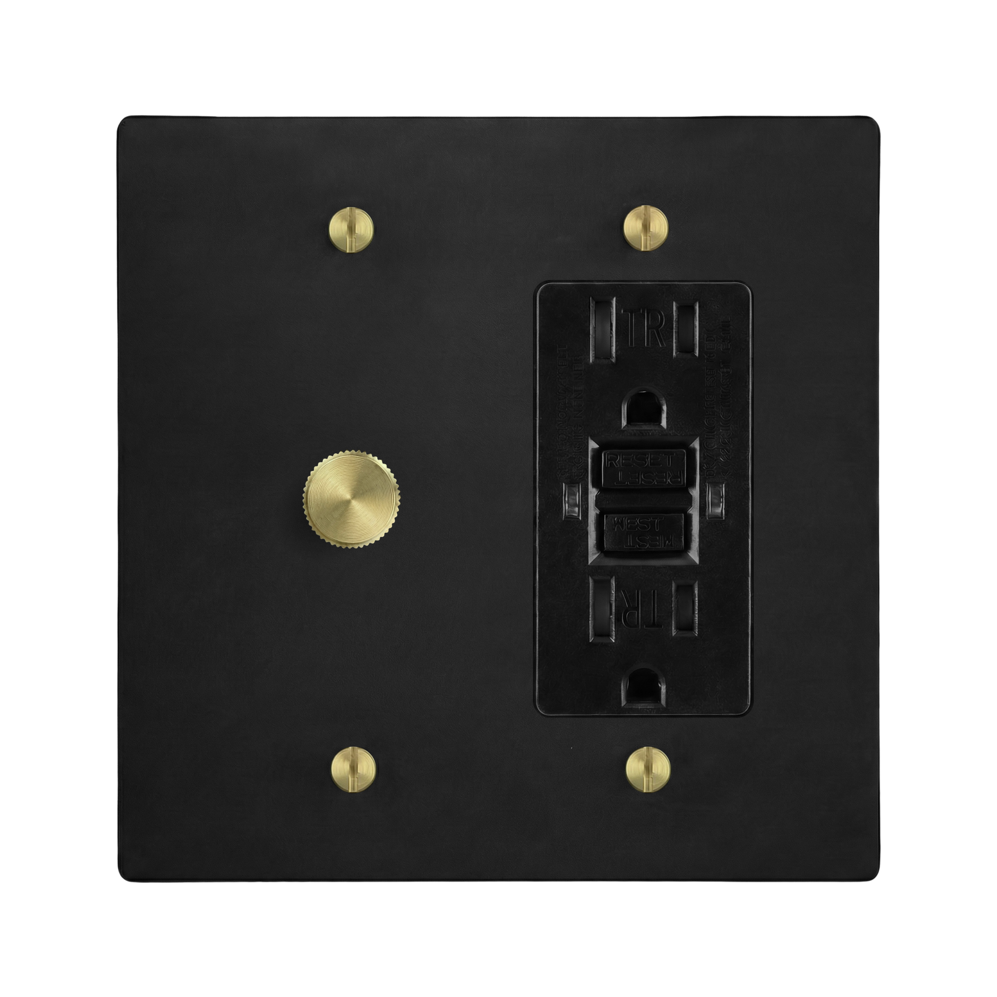 Matte Black (Satin Brass Accents) 2-Gang Dimmer & GFCI Outlet Switch Plate in Black