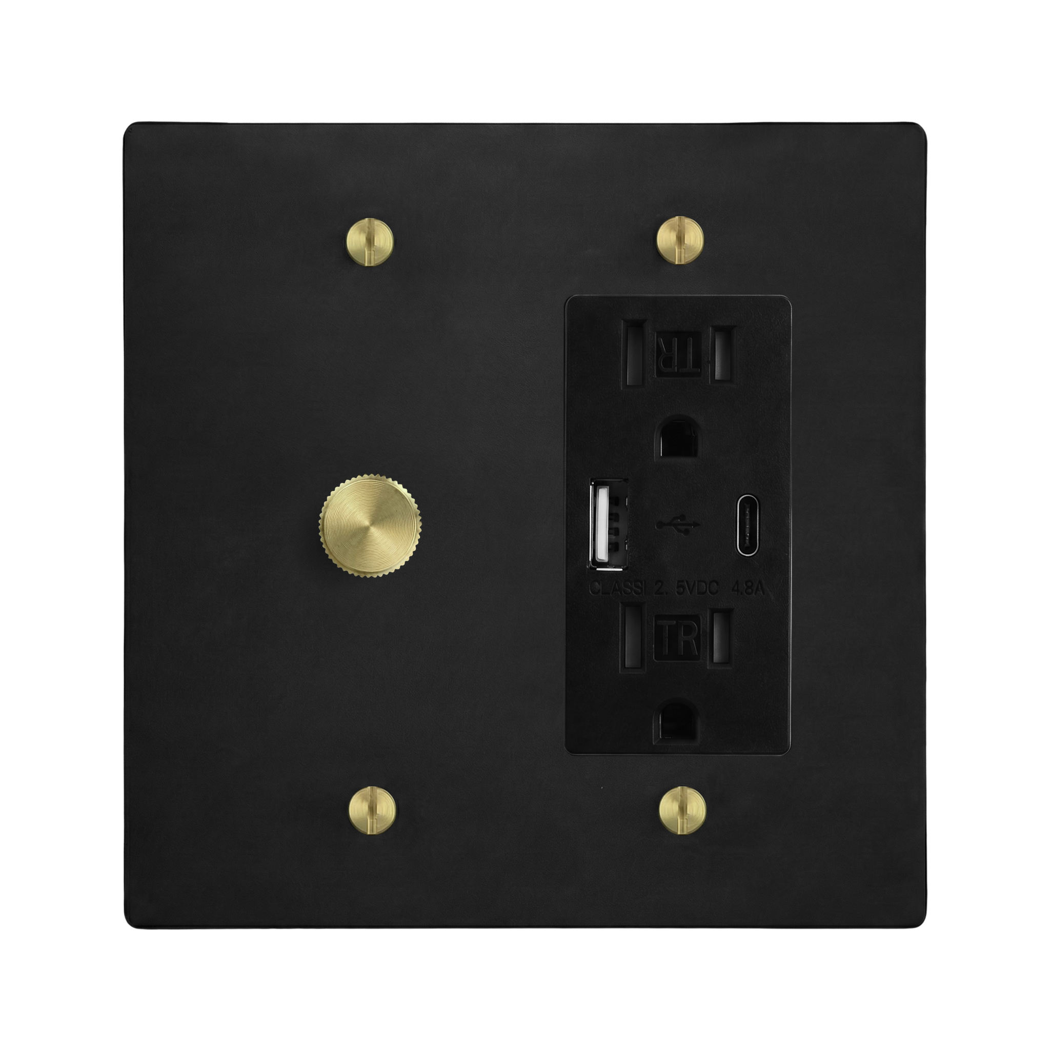 Matte Black (Satin Brass Accents) 2-Gang Dimmer & USB Outlet Switch Plate in Black
