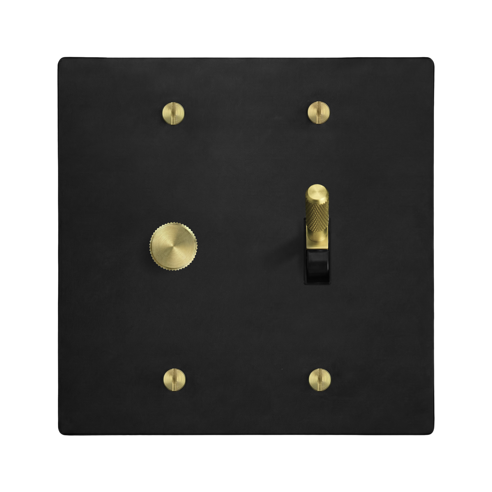 Matte Black (Satin Brass Accents) 2-Gang Dimmer & Toggle Switch Plate in Black