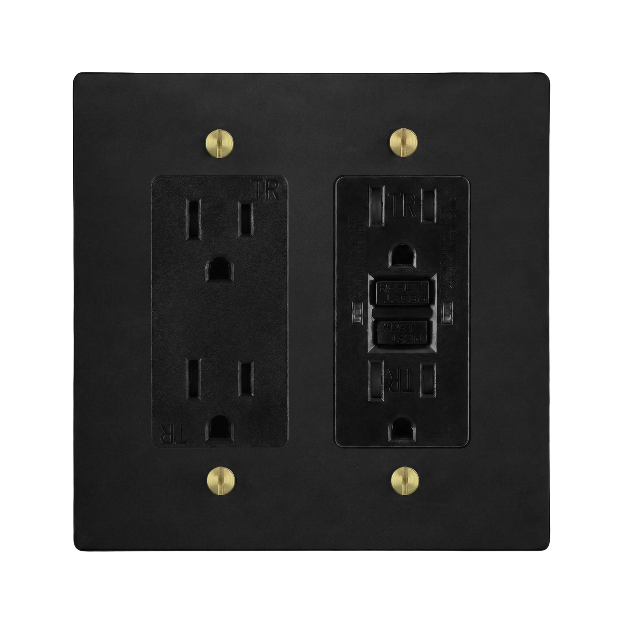 Matte Black (Satin Brass Accents) 2-Gang Duplex Outlet & GFCI Outlet Switch Plate in Black