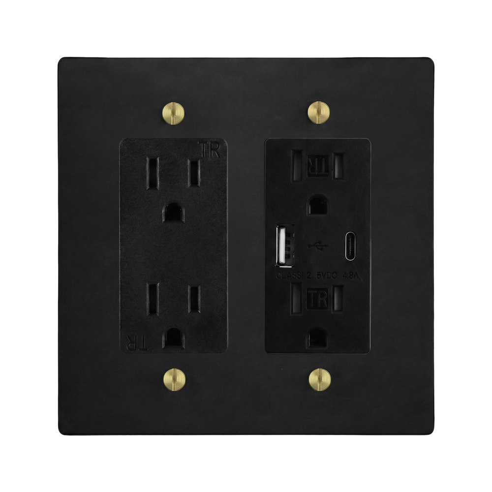 Matte Black (Satin Brass Accents) 2-Gang Duplex Outlet & USB Outlet Switch Plate in Black