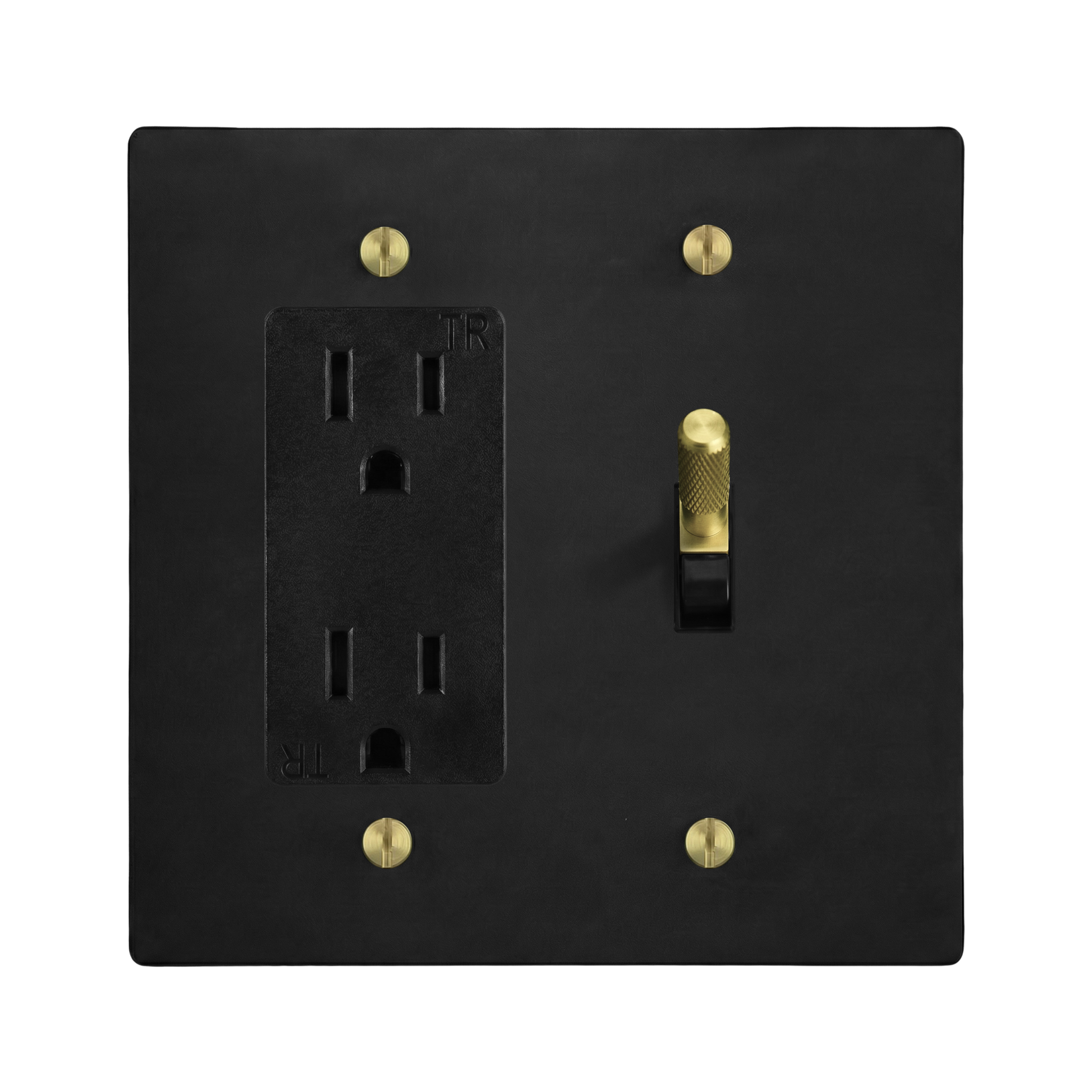 Matte Black (Satin Brass Accents) 2-Gang Duplex Outlet & Toggle Switch Plate in Black