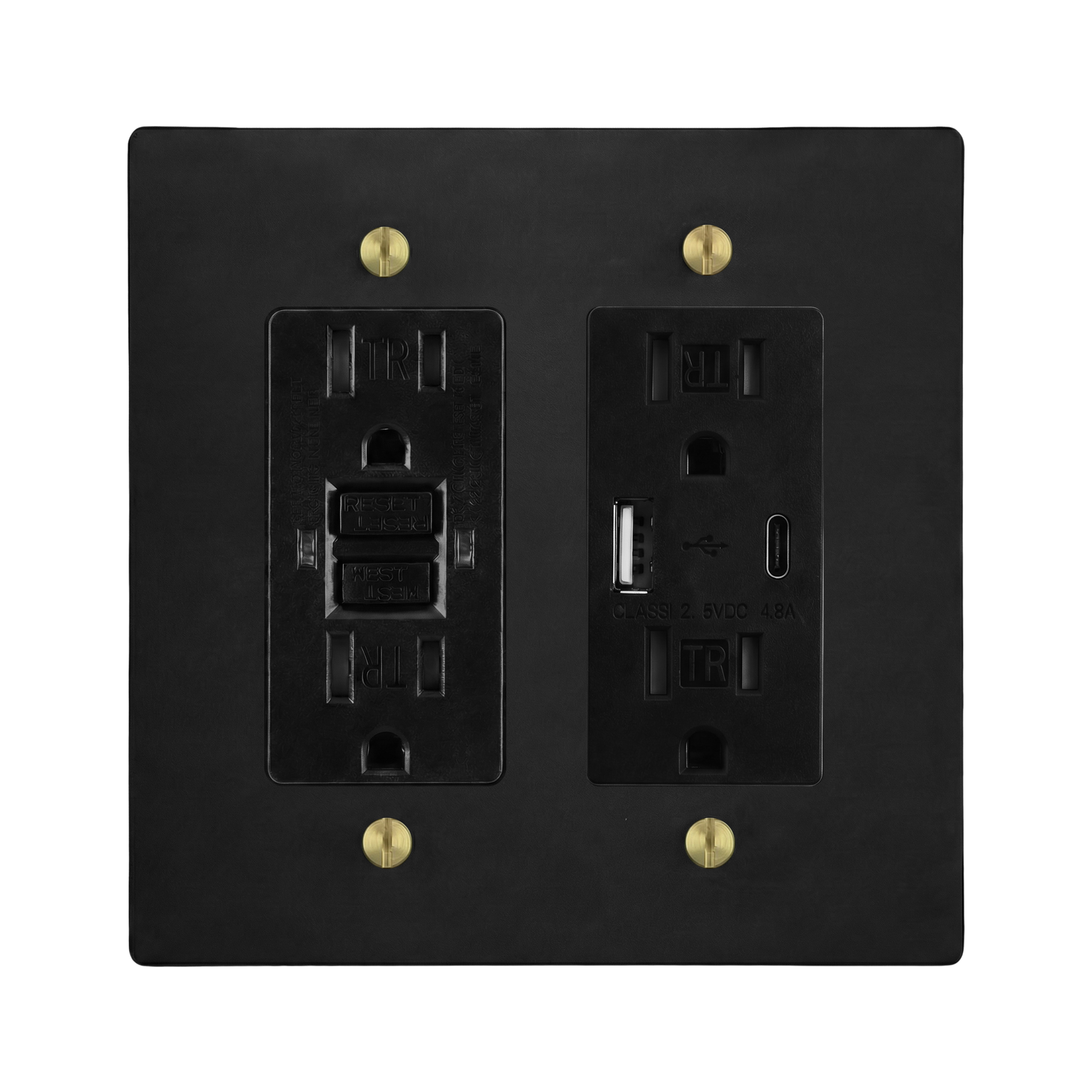 Matte Black (Satin Brass Accents) 2-Gang GFCI Outlet & USB Outlet Switch Plate in Black