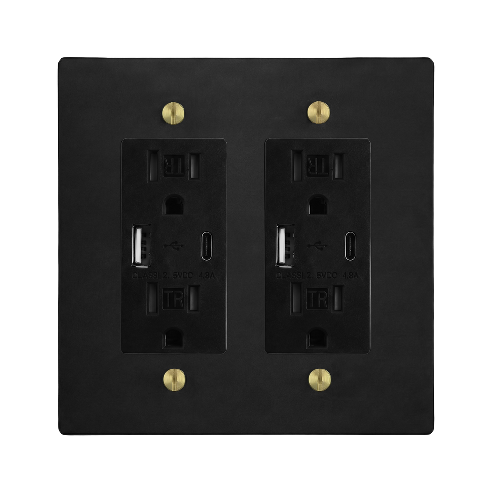 Matte Black (Satin Brass Accents) 2-Gang USB Outlet & USB Outlet Switch Plate in Black