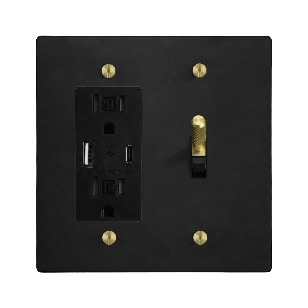 Matte Black (Satin Brass Accents) 2-Gang USB Outlet & Toggle Switch Plate in Black