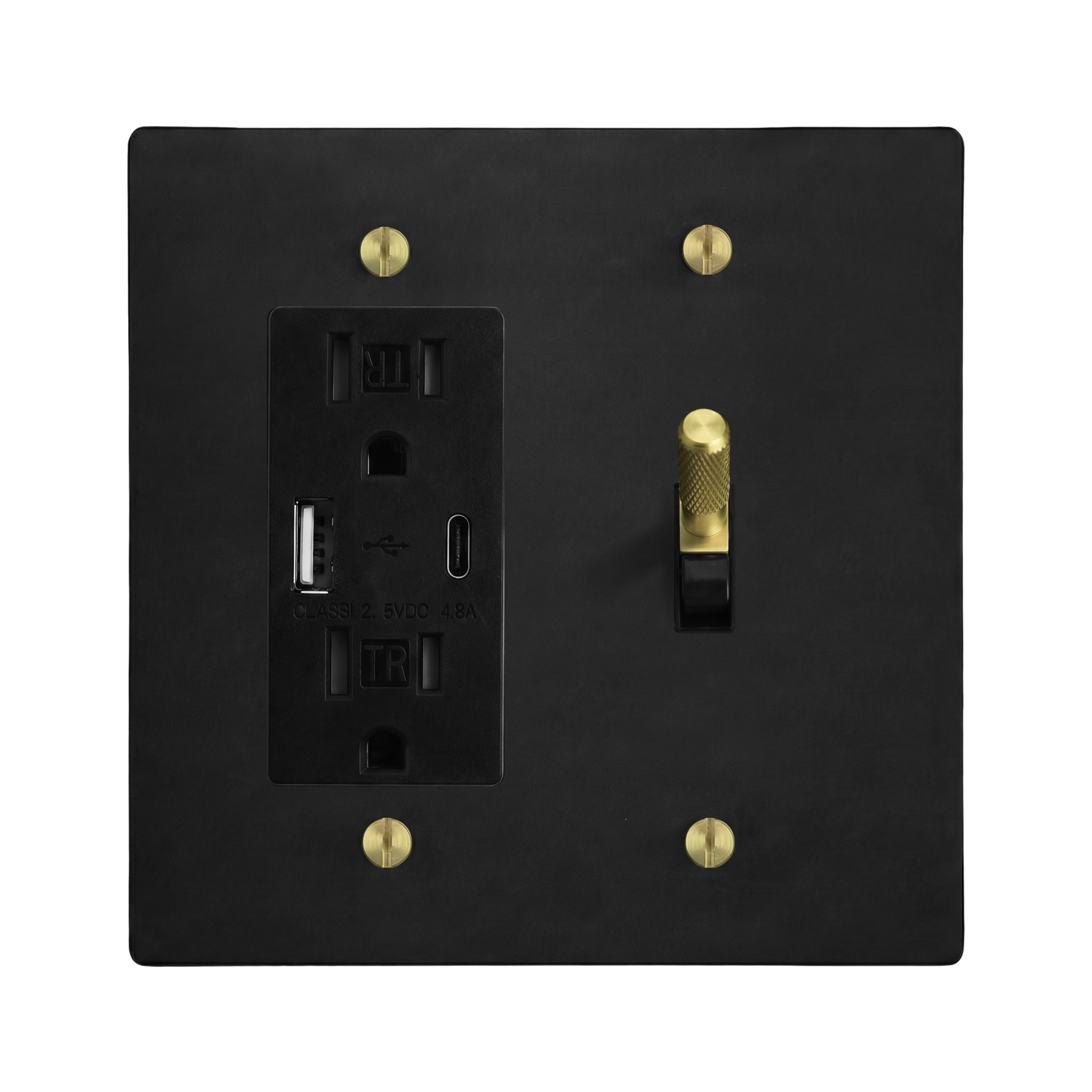 Matte Black (Satin Brass Accents) 2-Gang USB Outlet & Toggle Switch Plate in Black