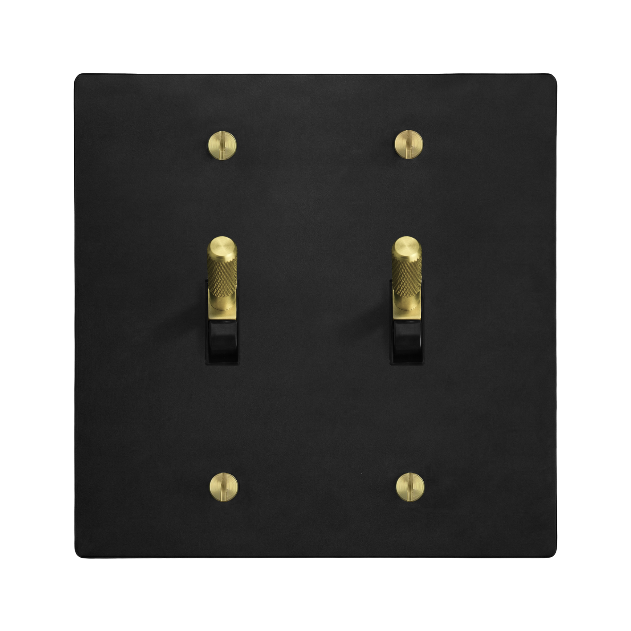 Matte Black (Satin Brass Accents) 2-Gang Toggle & Toggle Switch Plate in Black