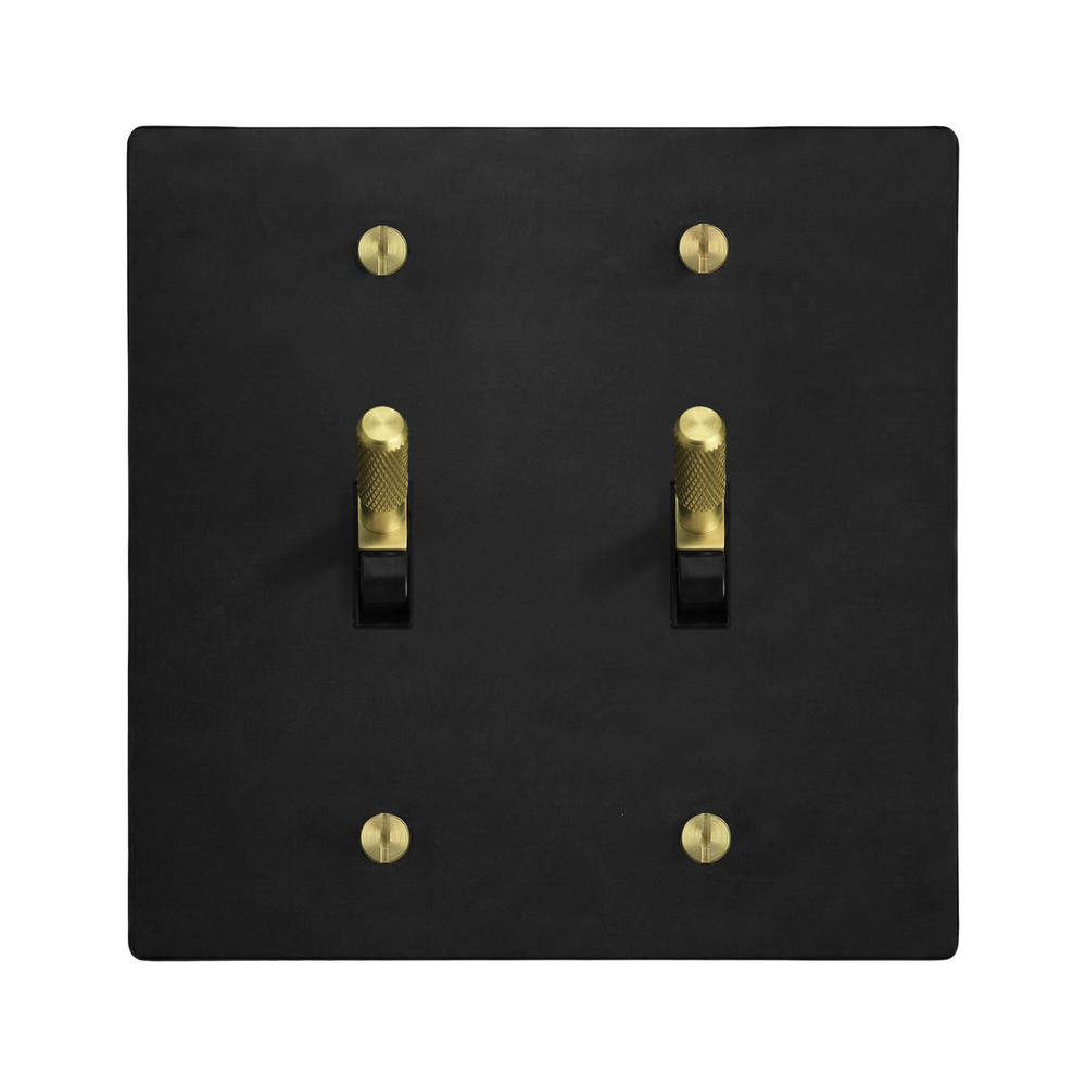 Matte Black (Satin Brass Accents) 2-Gang Toggle & Toggle Switch Plate in Black