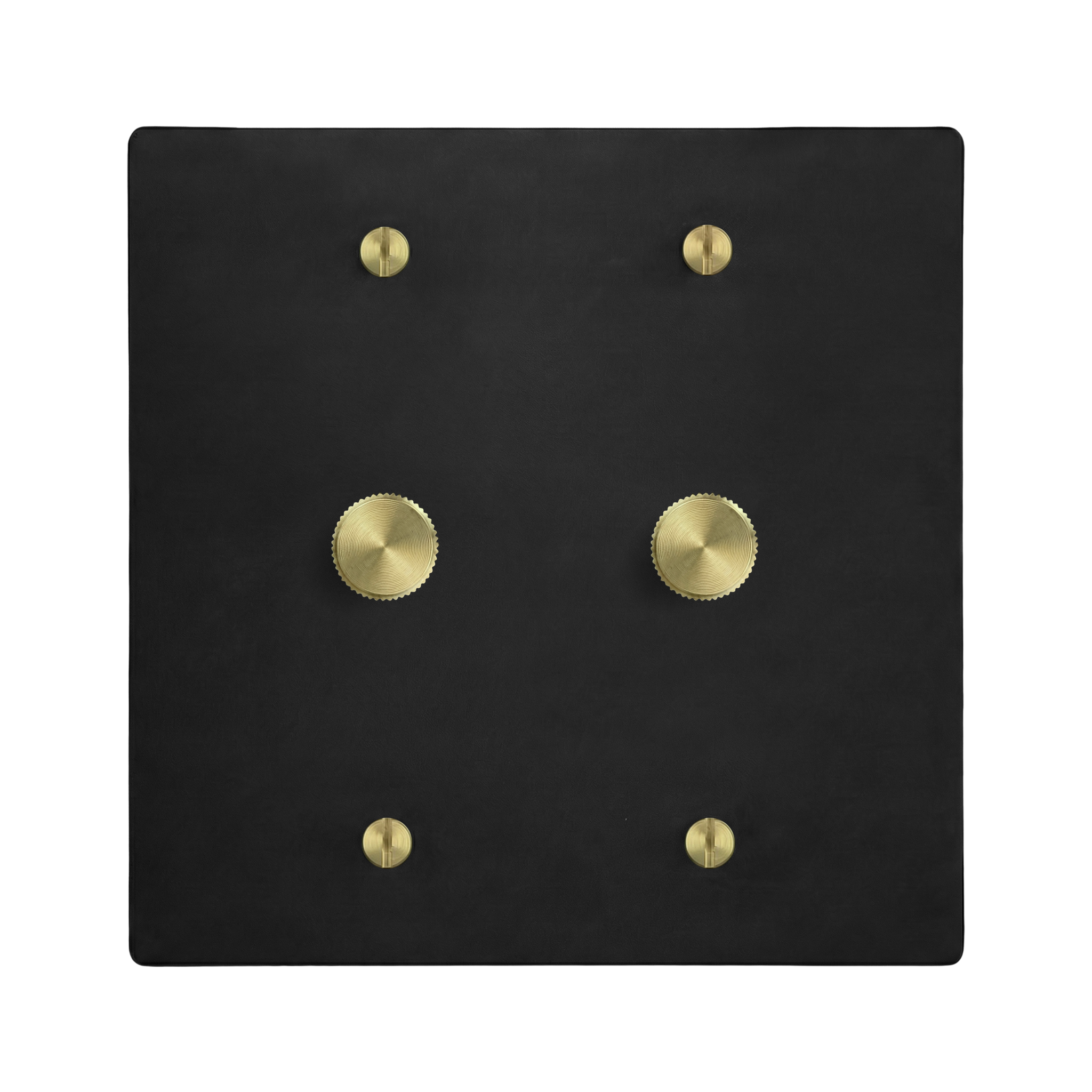 Matte Black (Satin Brass Accents) 2-Gang Dimmer & Dimmer Switch Plate