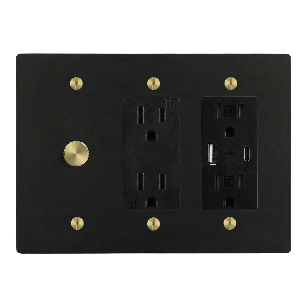 Matte Black (Satin Brass Accents) 3-Gang Dimmer, Duplex Outlet & USB Outlet Switch Plate in Black