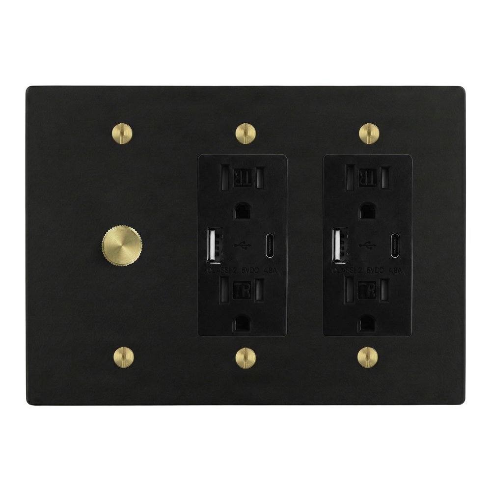Matte Black (Satin Brass Accents) 3-Gang Dimmer, USB Outlet & USB Outlet Switch Plate in Black
