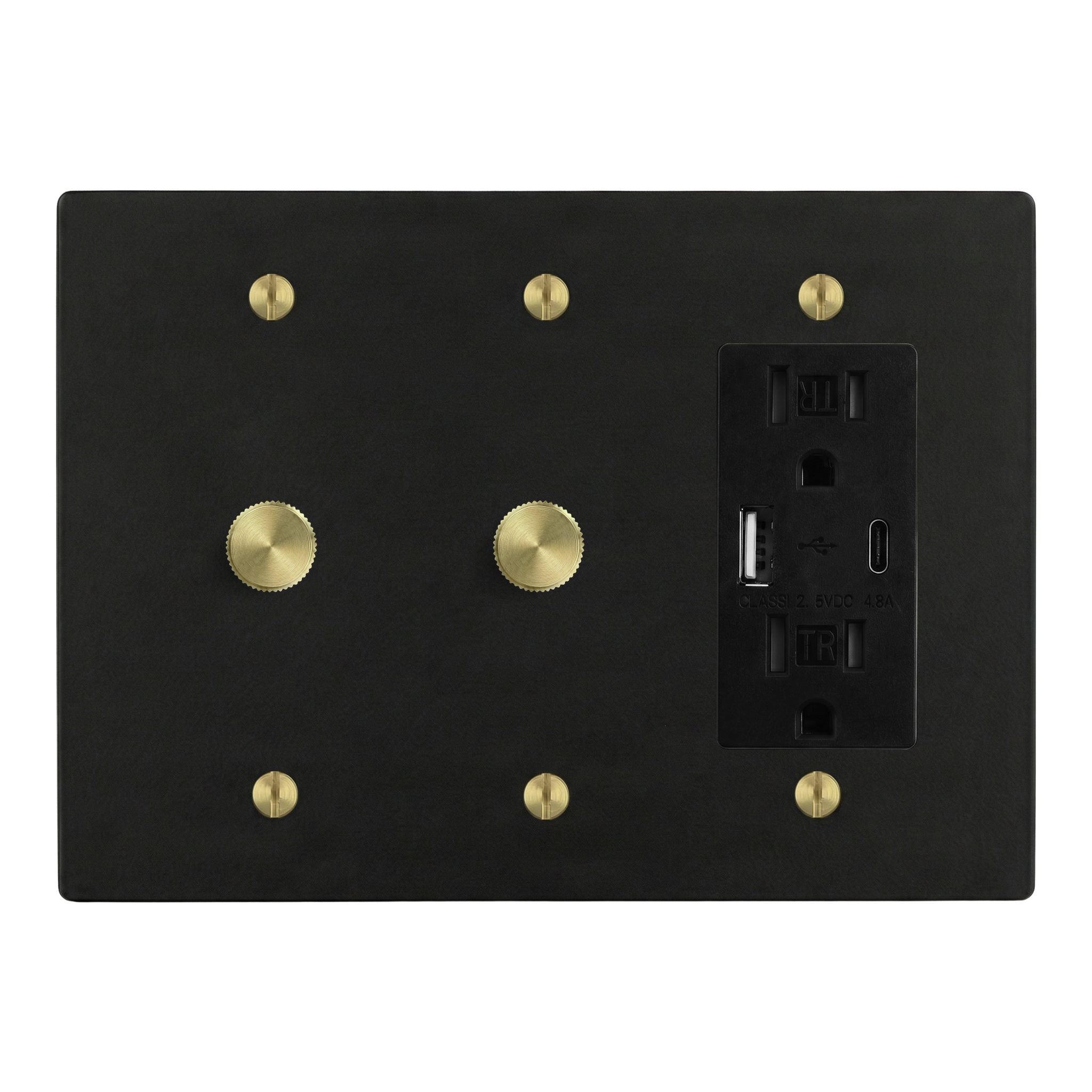 Matte Black (Satin Brass Accents) 3-Gang Dimmer, Dimmer & USB Outlet Switch Plate in Black