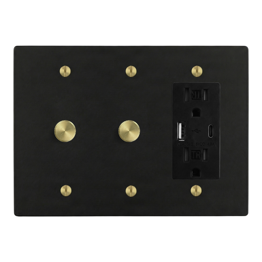 Matte Black (Satin Brass Accents) 3-Gang Dimmer, Dimmer & USB Outlet Switch Plate in Black