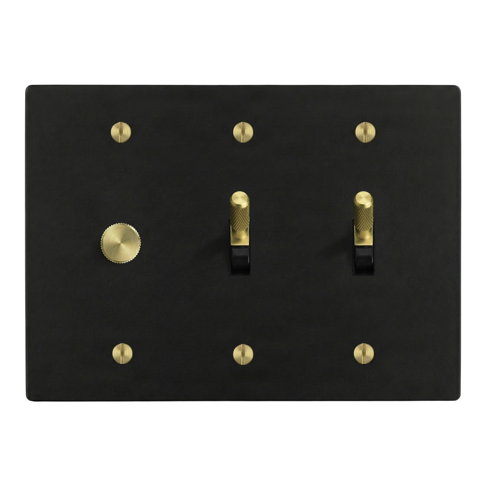 Matte Black (Satin Brass Accents) 3-Gang Dimmer, Toggle & Toggle Switch Plate in Black