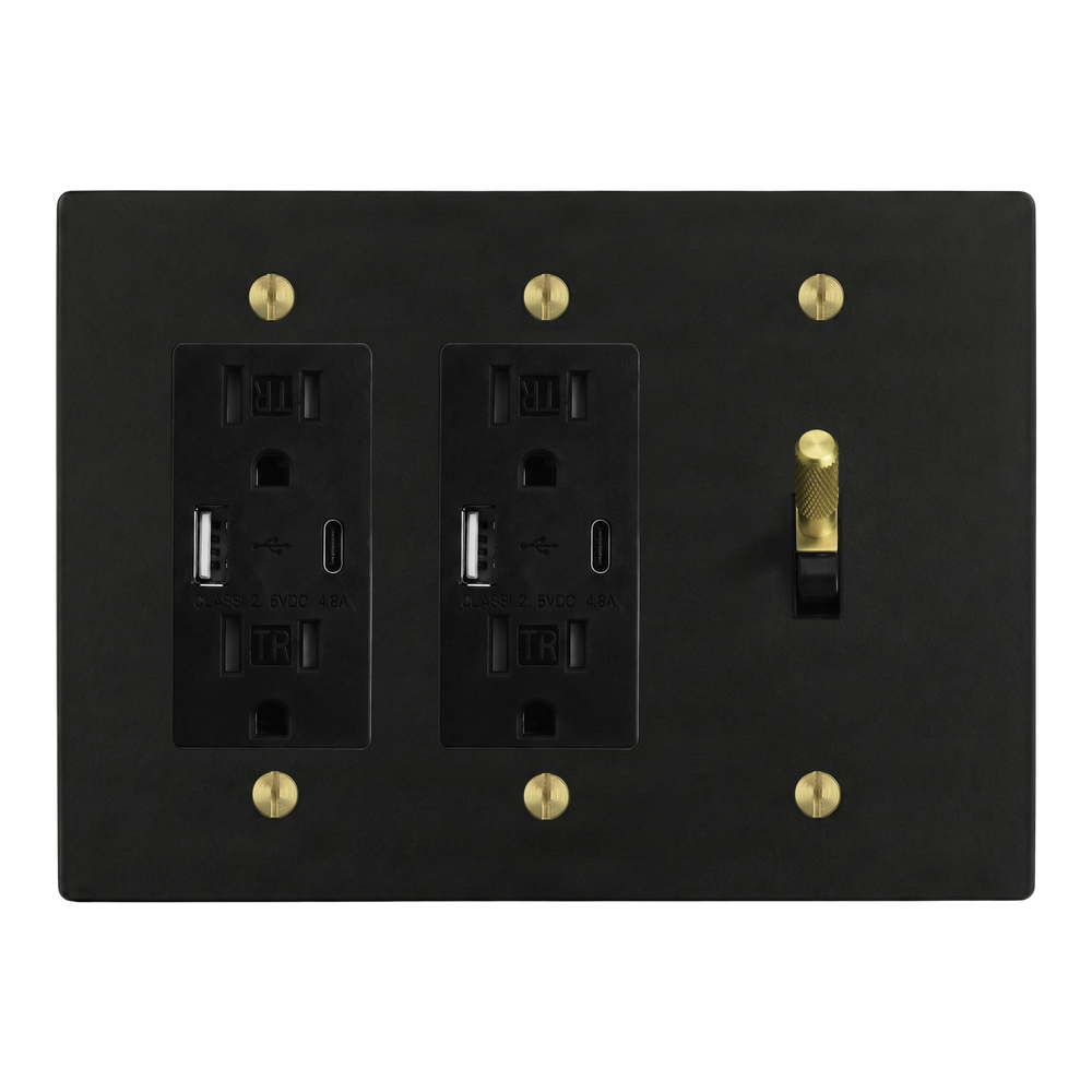 Matte Black (Satin Brass Accents) 3-Gang USB Outlet, USB Outlet & Toggle Switch Plate in Black