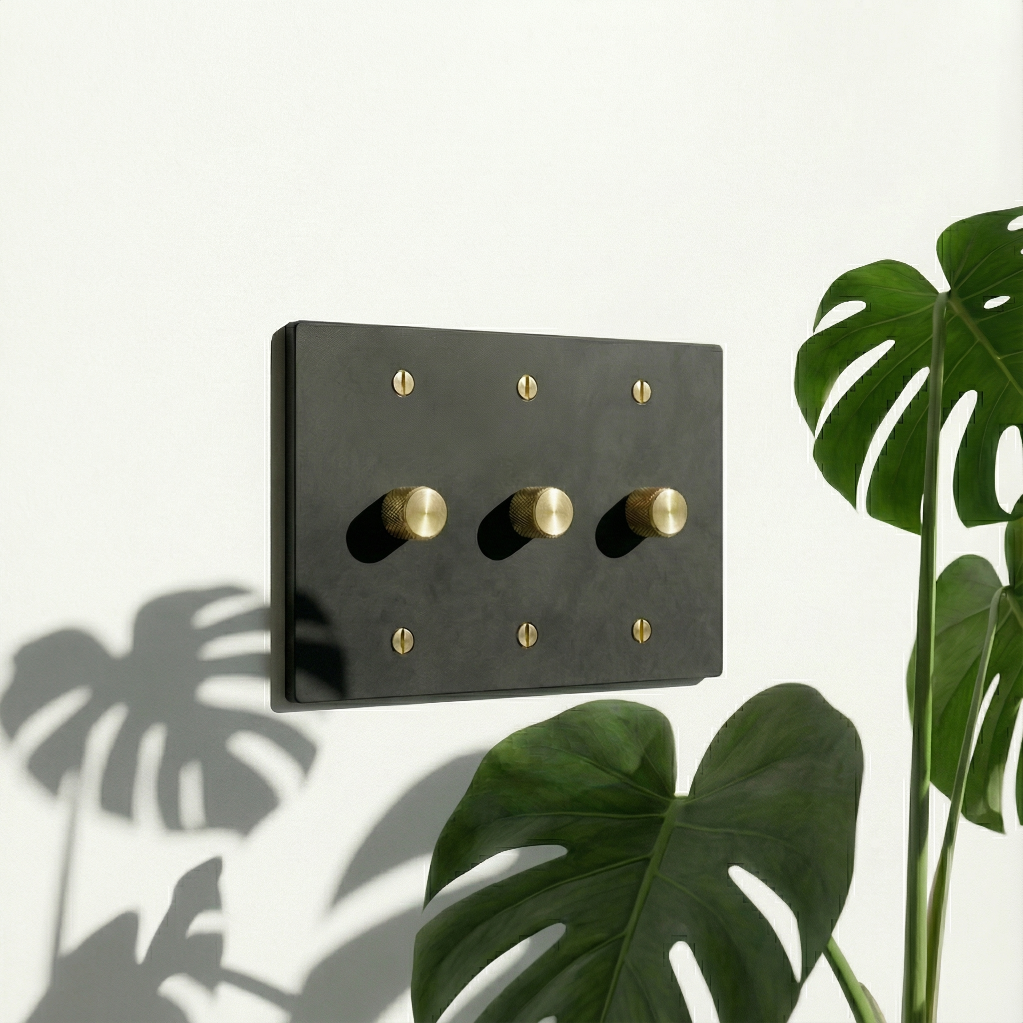 Elegant matte black (satin brass accents) 3 gang dimmer switch plate on a wall, framed by a Monstera plant.