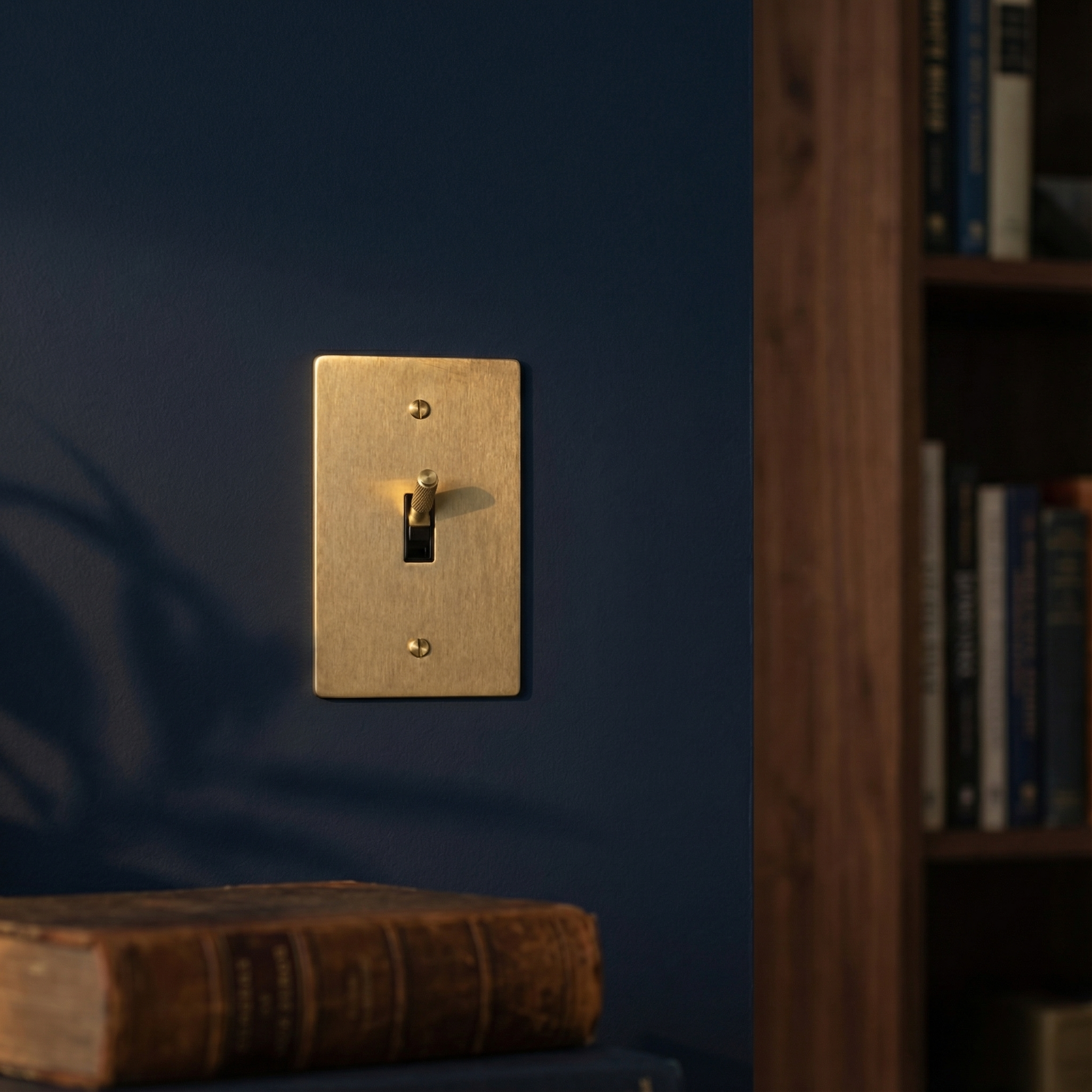 Quiet luxury: satin brass 1 gang toggle switch plate on a deep blue wall, near a vintage book.