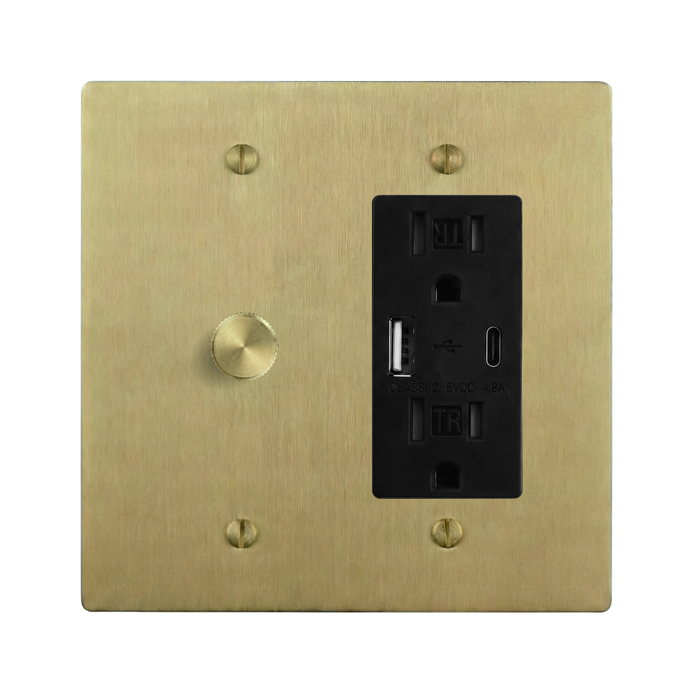 Satin Brass 2-Gang Dimmer & USB Outlet Switch Plate in Black
