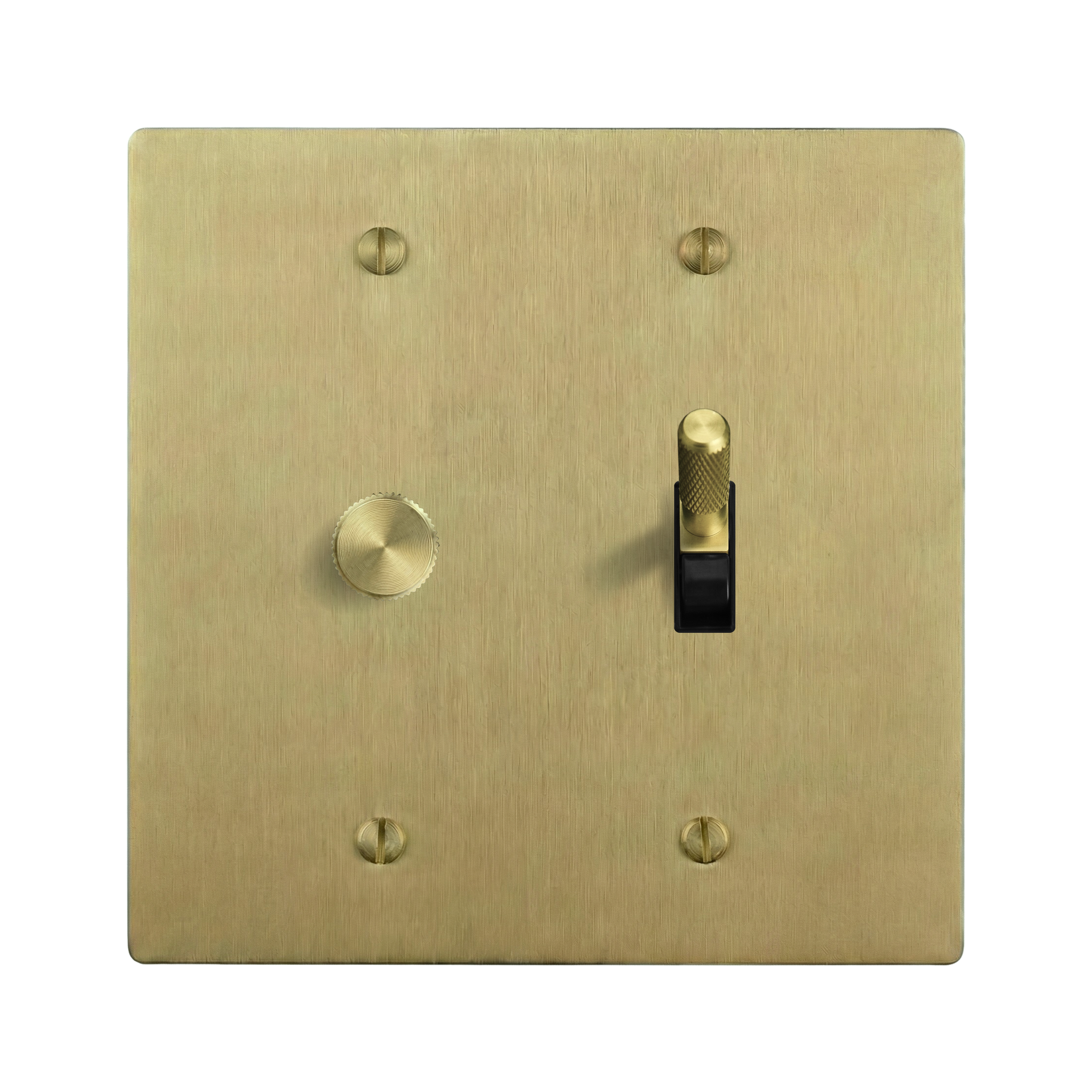 Satin Brass 2-Gang Dimmer & Toggle Switch Plate in Black