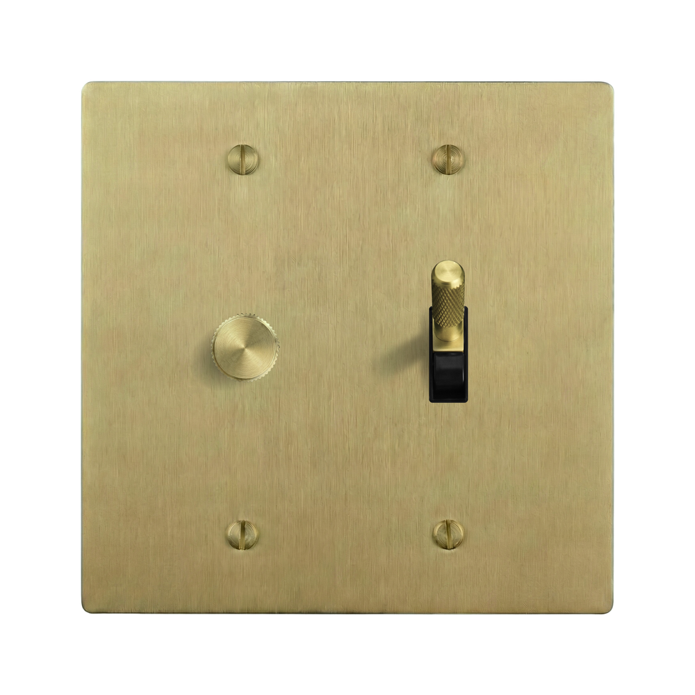 Satin Brass 2-Gang Dimmer & Toggle Switch Plate in Black