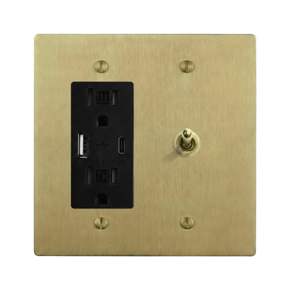 Satin Brass 2-Gang USB Outlet & Vintage Toggle Switch Plate in Black