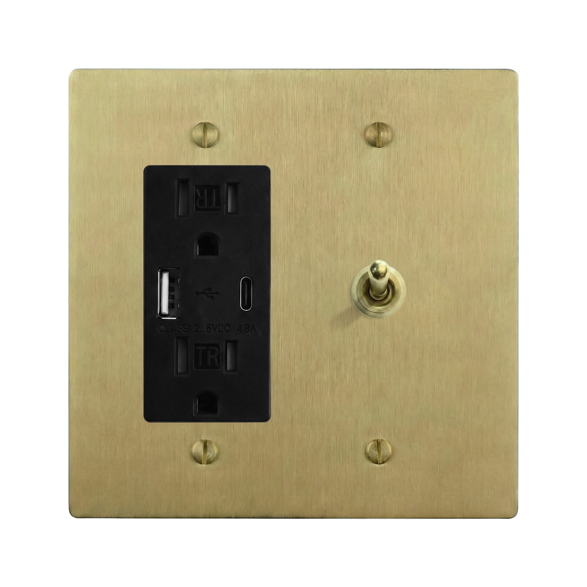 Satin Brass 2-Gang USB Outlet & Vintage Toggle Switch Plate in Black