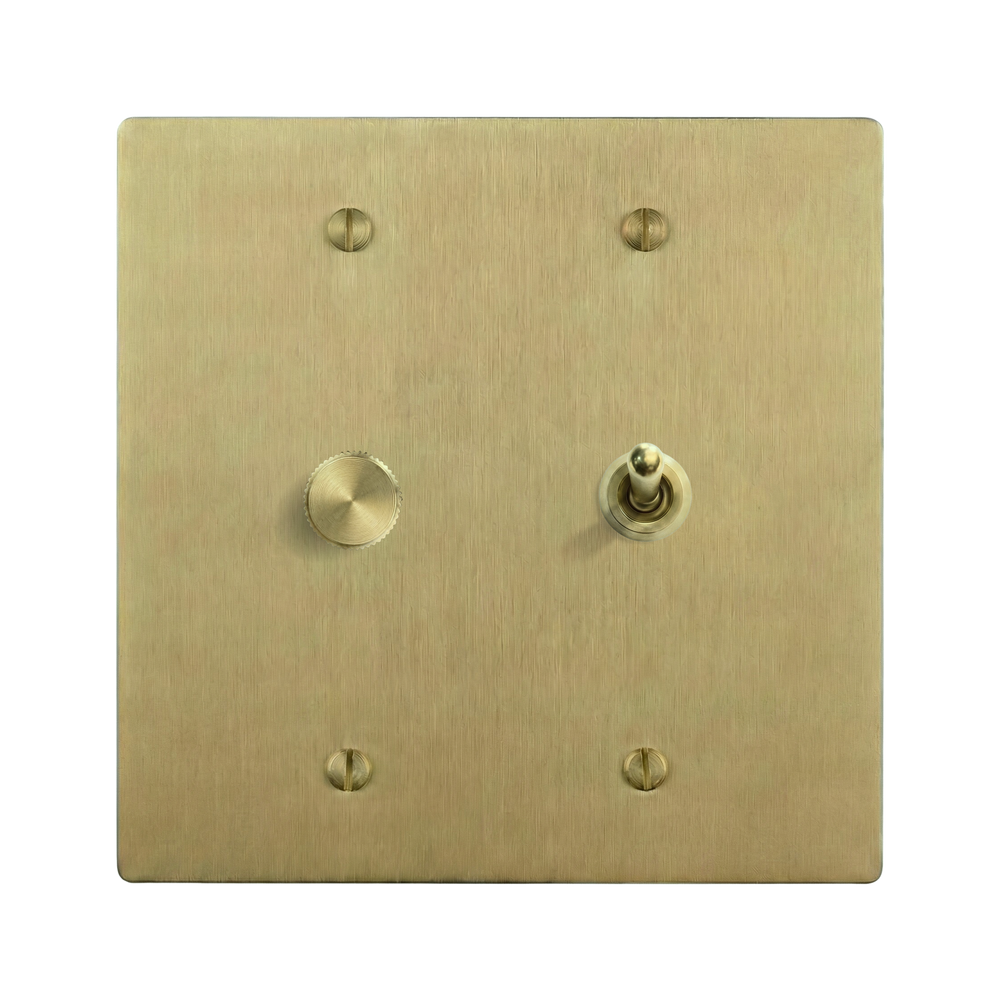 Satin Brass 2-Gang Dimmer & Vintage Toggle Switch Plate