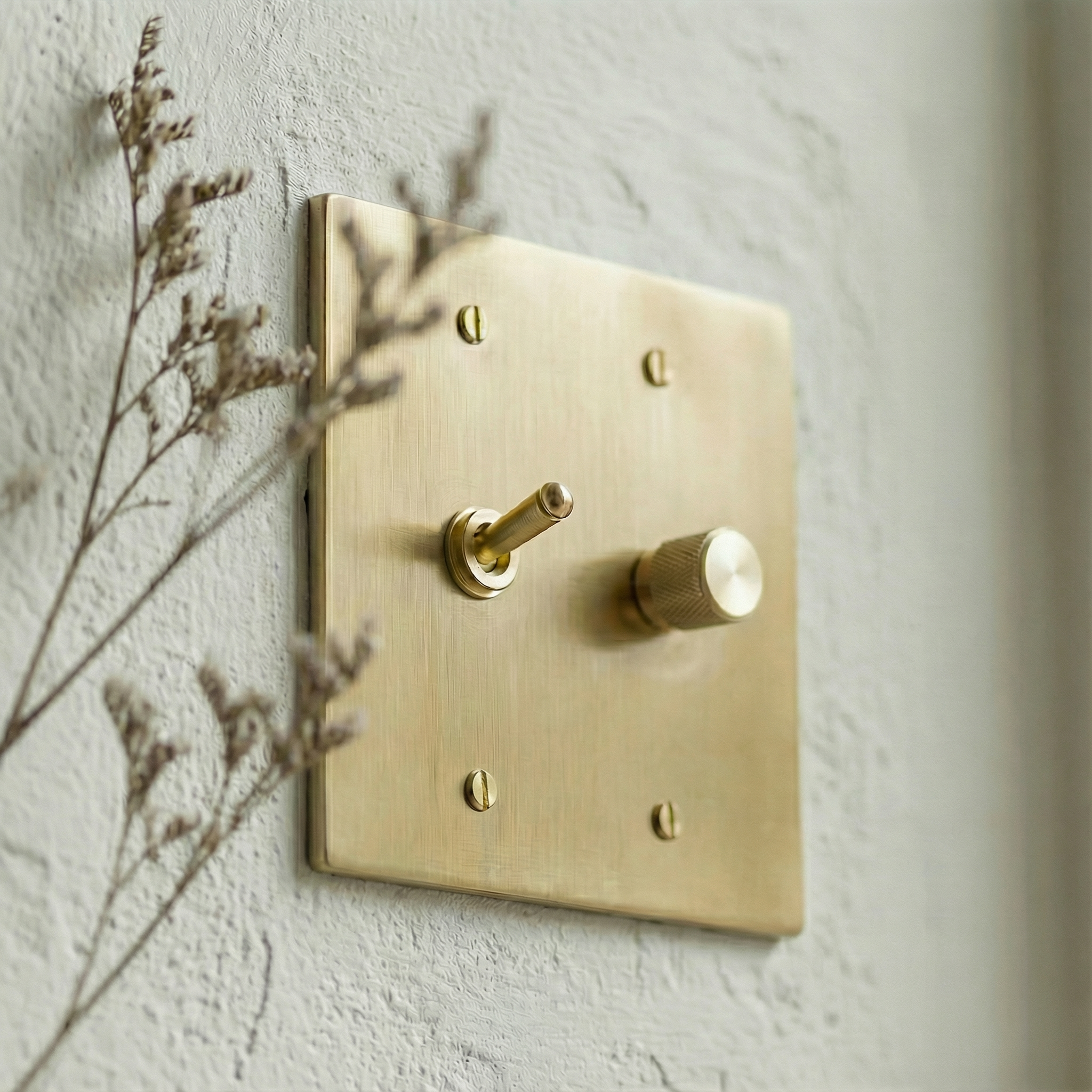 Satin brass 2 gang dimmer and vintage toggle switch plate on a textured wall with a dried plant, exuding timeless elegance.