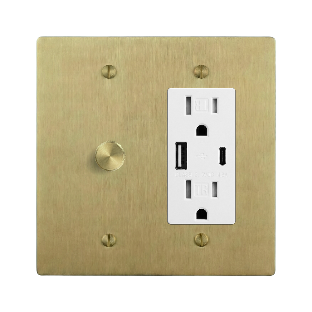 Satin Brass 2-Gang Dimmer & USB Outlet Switch Plate in White
