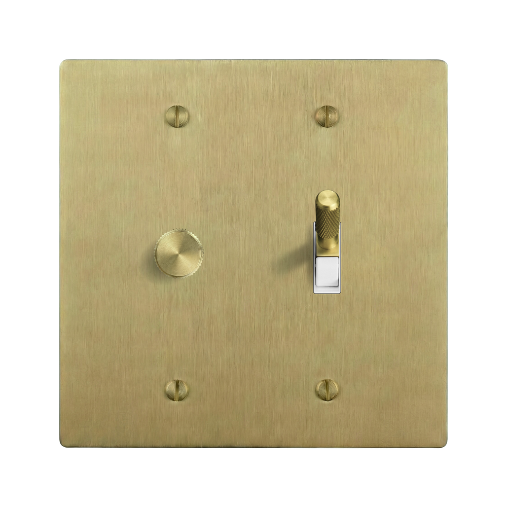 Satin Brass 2-Gang Dimmer & Toggle Switch Plate in White